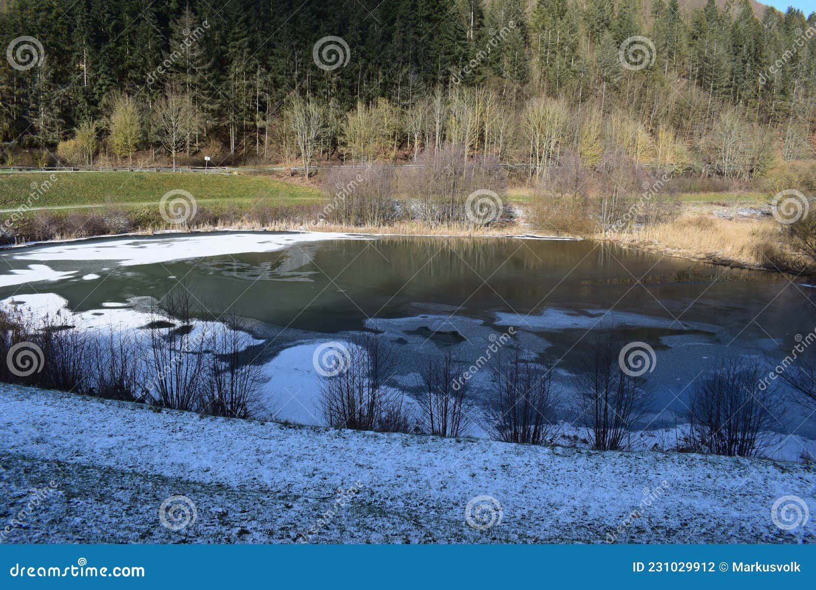 adenau, lake of the exbach with ice