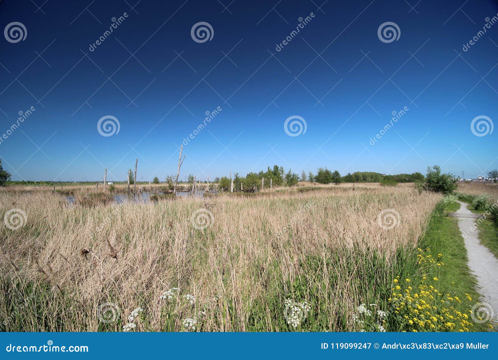 area around the zevenhuizerplas, a lake between oud verlaat and rotterdam nesselande