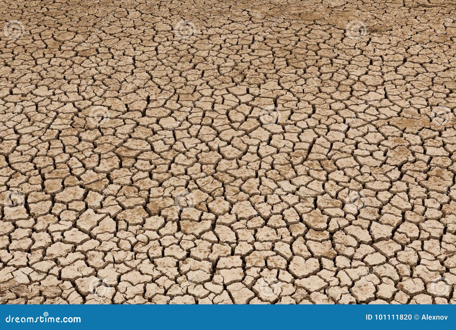 Area of Dried Soil stock photo. Image of surface, natural 101111820