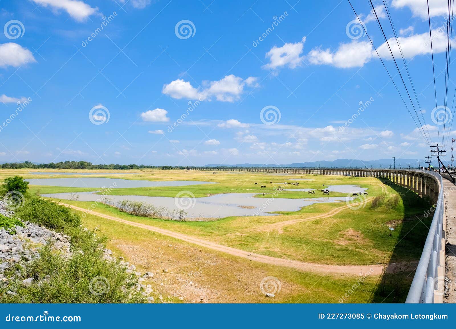 area of railroad tracks for travel train parked with floating railway bridge