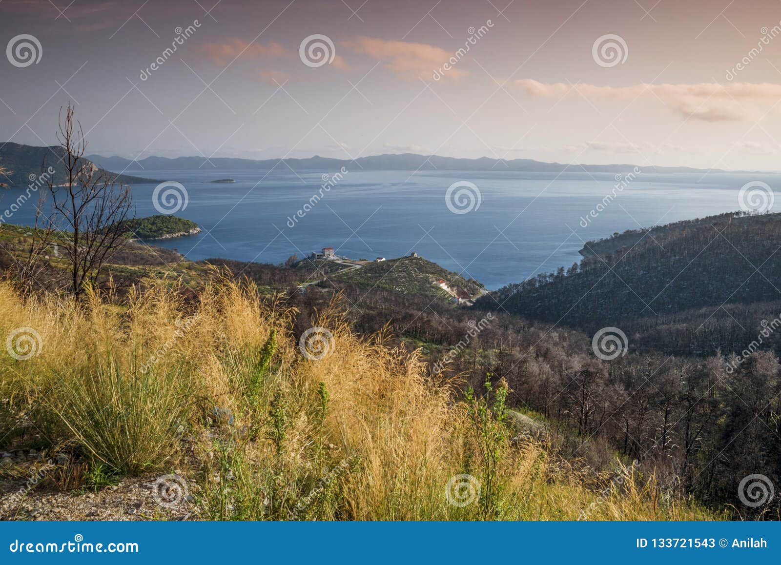 areal view on coastline near orebic, croatia