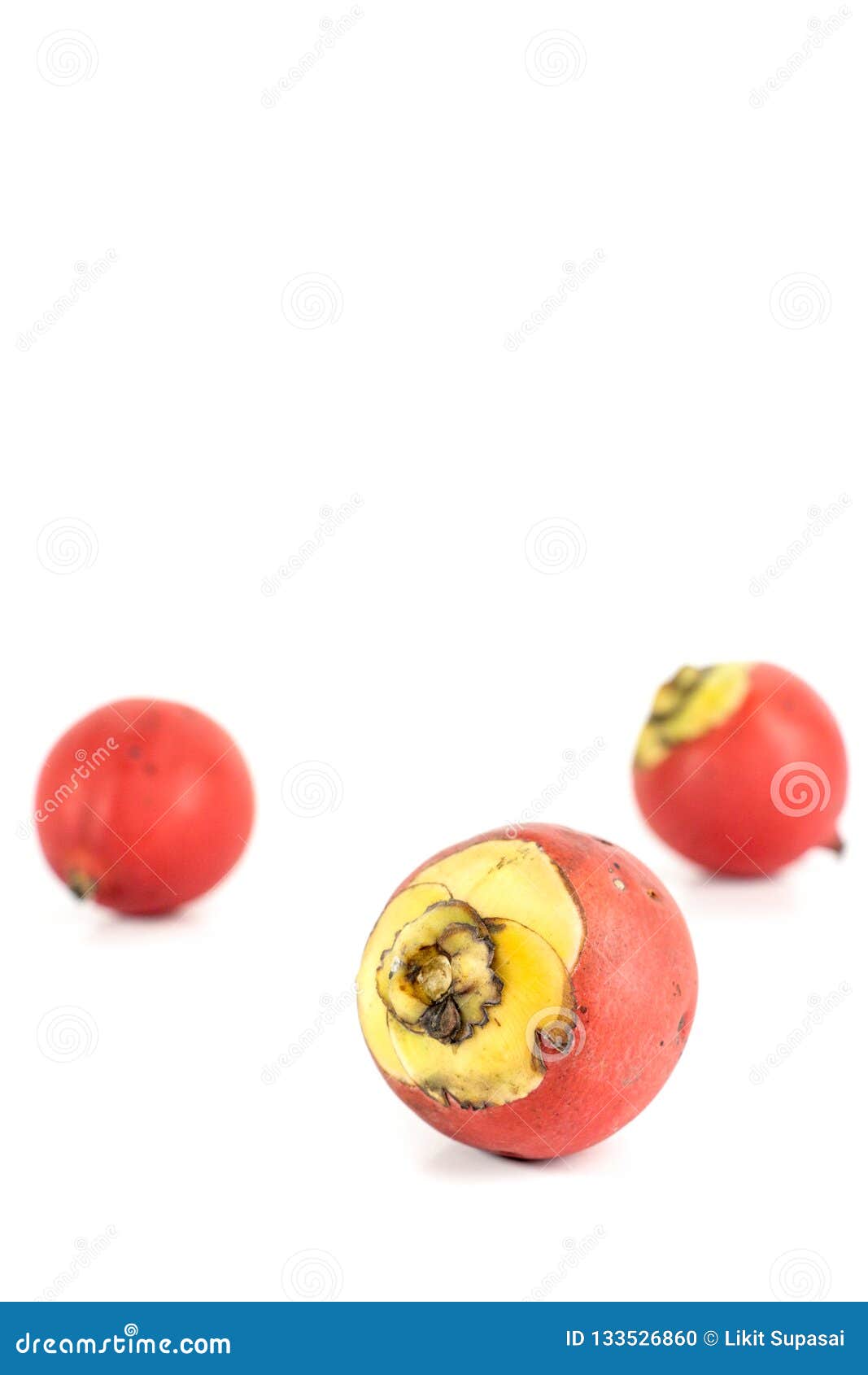 areca nut white background in studio