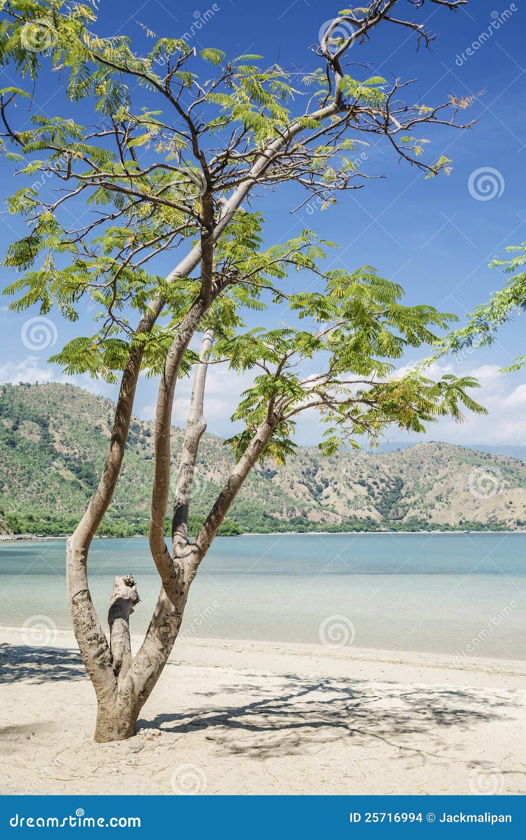 areia branca beach near dili east timor