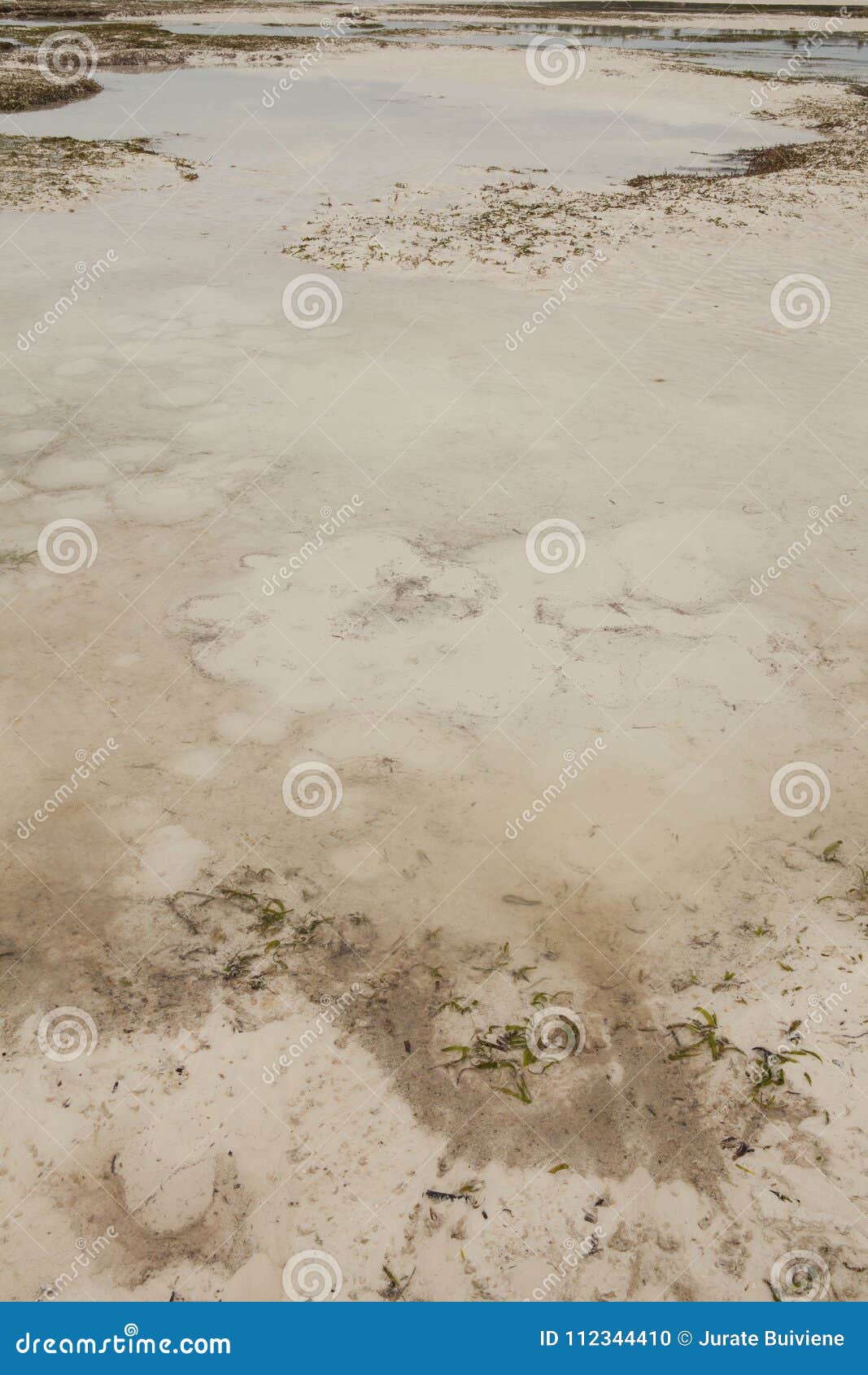 Areia Movediça No Oceano Índico Imagem de Stock - Imagem de praia, arenoso:  112344503