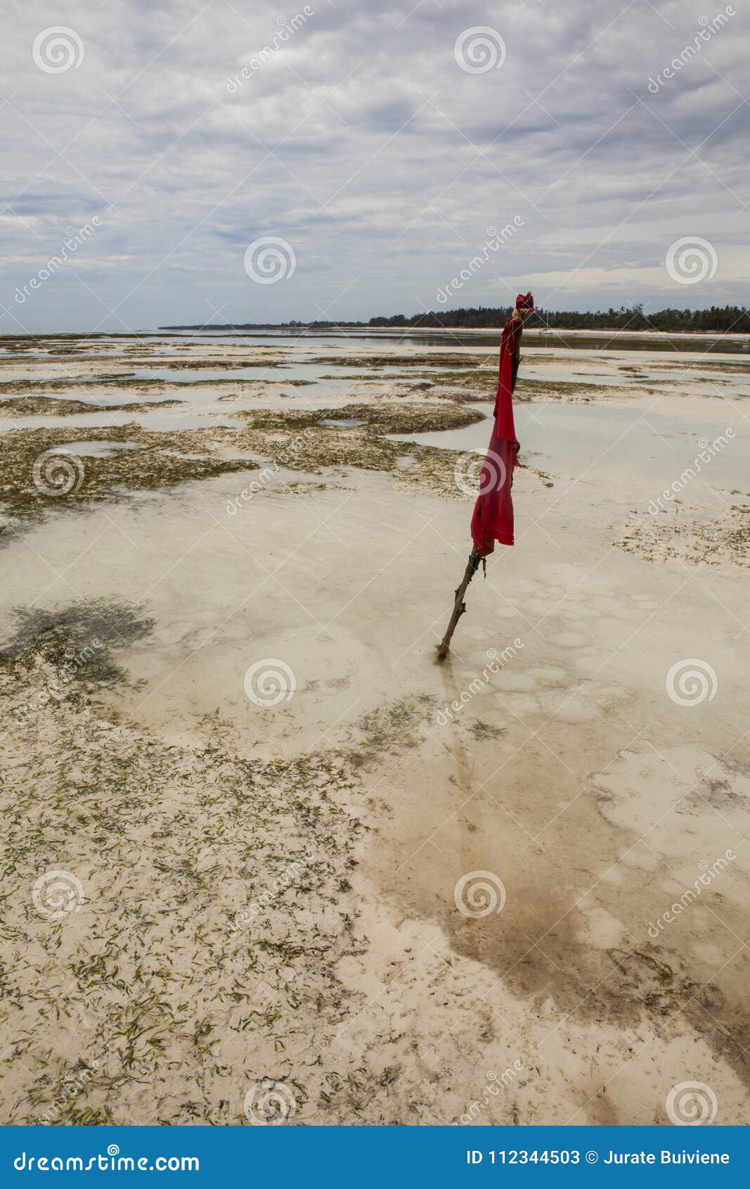 Areia Movediça No Oceano Índico Imagem de Stock - Imagem de praia