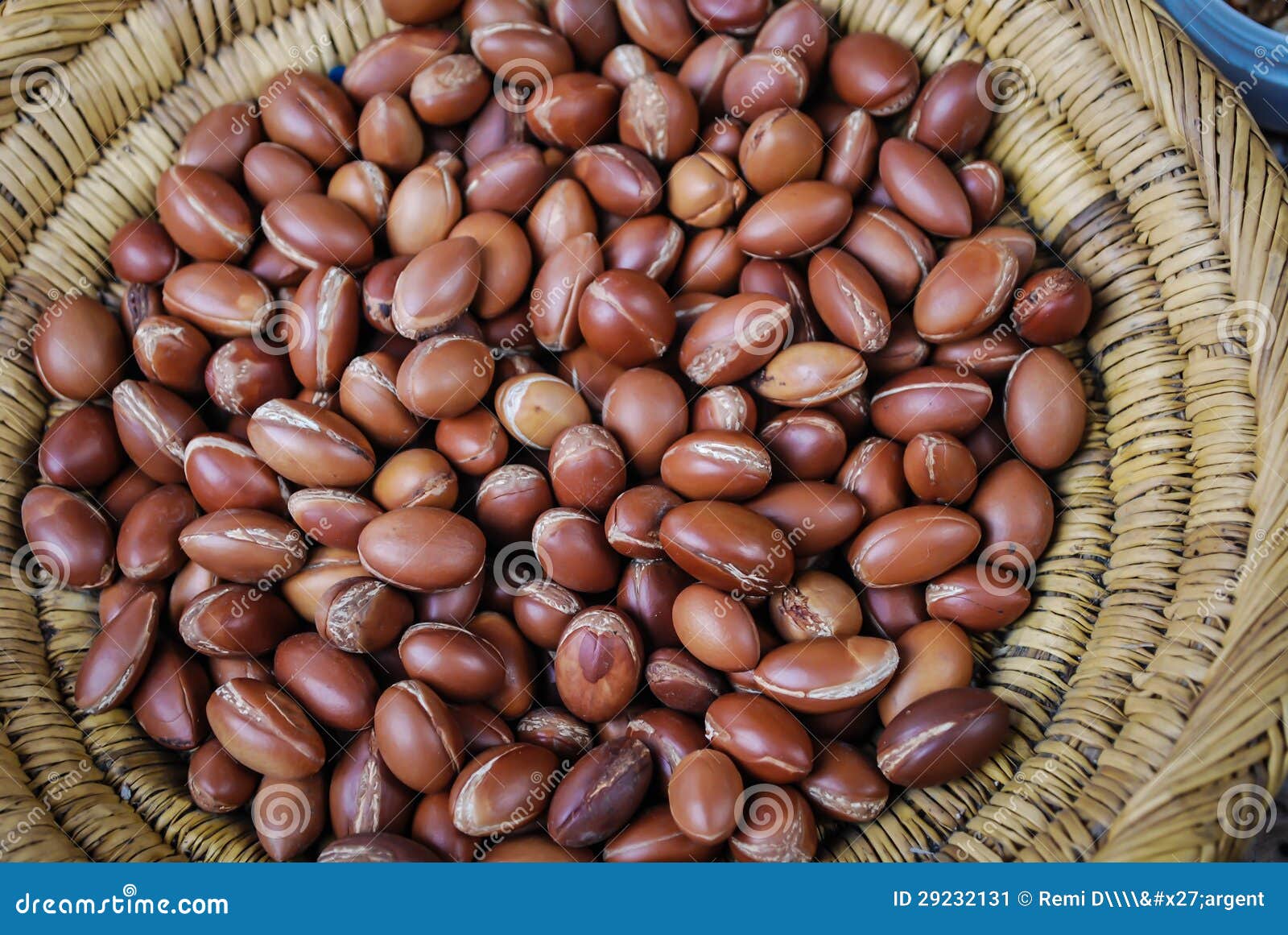 Argan oil nuts stock image. Image of body, argan, cream 29232131