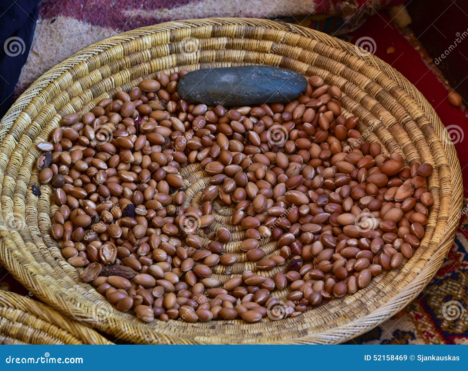 Argan oil nuts stock image. Image of shell, seed, basket 52158469