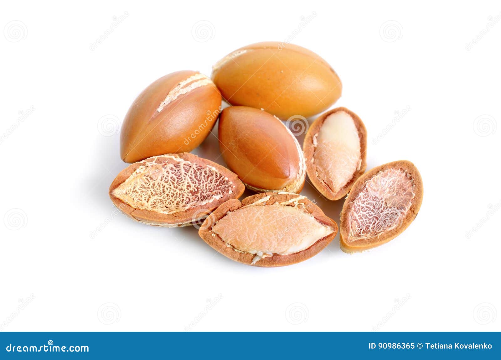 argan seed  on white background.