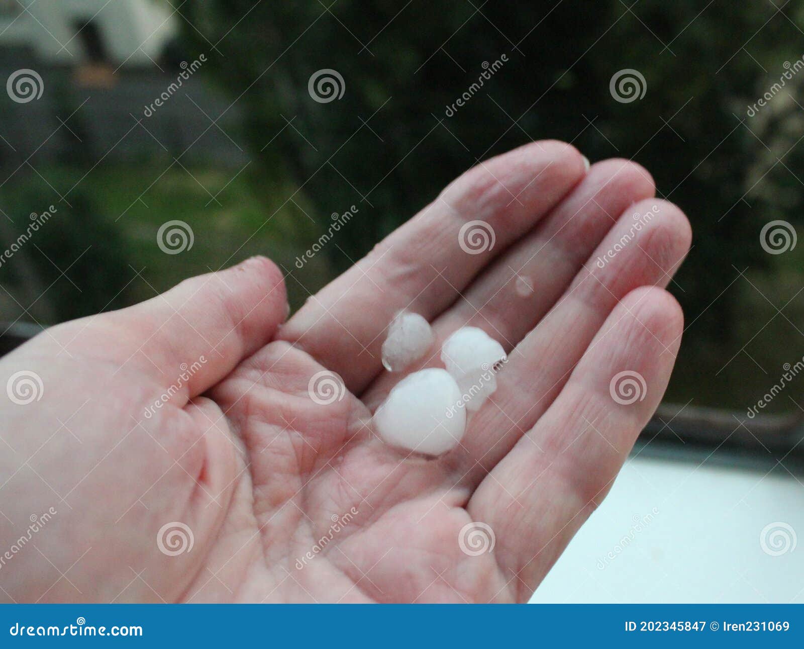 arge hail in the palm of your hand against the window background