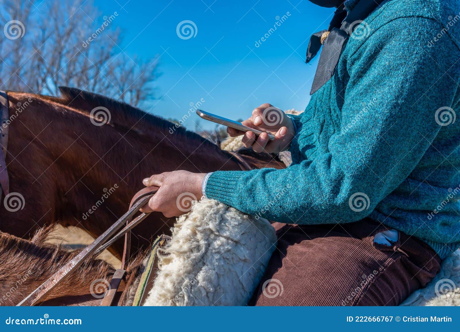 Argentina Gaucho Em Cavalo Usando Telefone Celular Imagem de Stock - Imagem  de chapéu, festa: 222666767