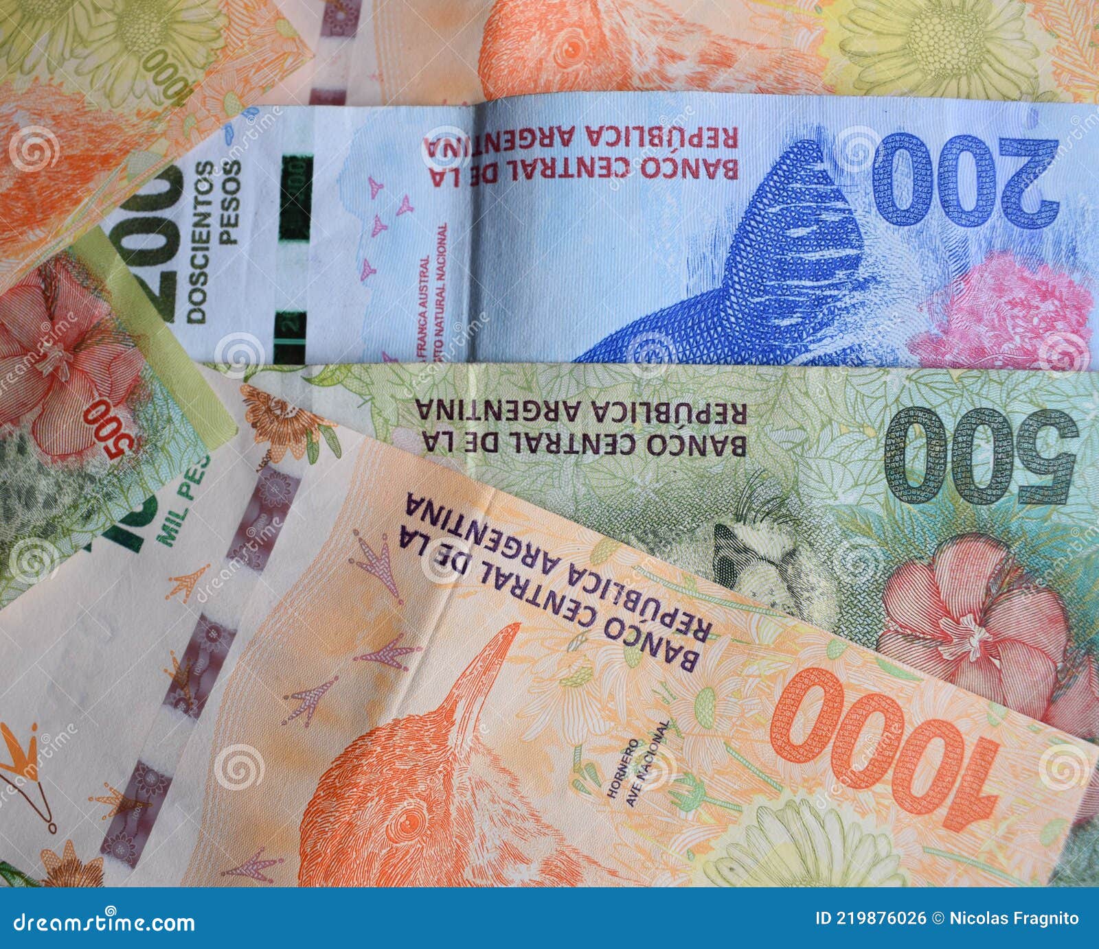 argentine currency peso bills. economic and financial 