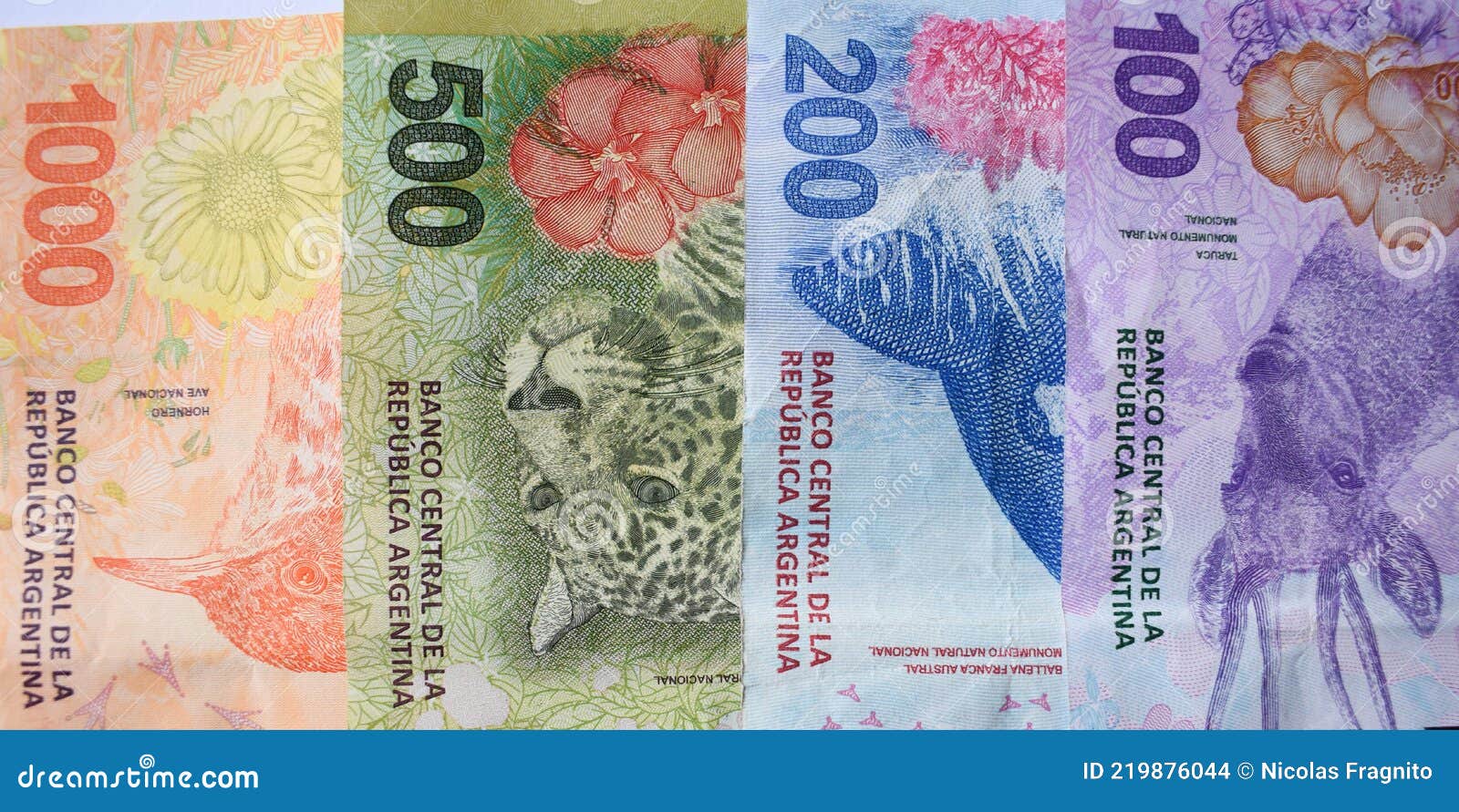 argentine currency peso bills. economic and financial 