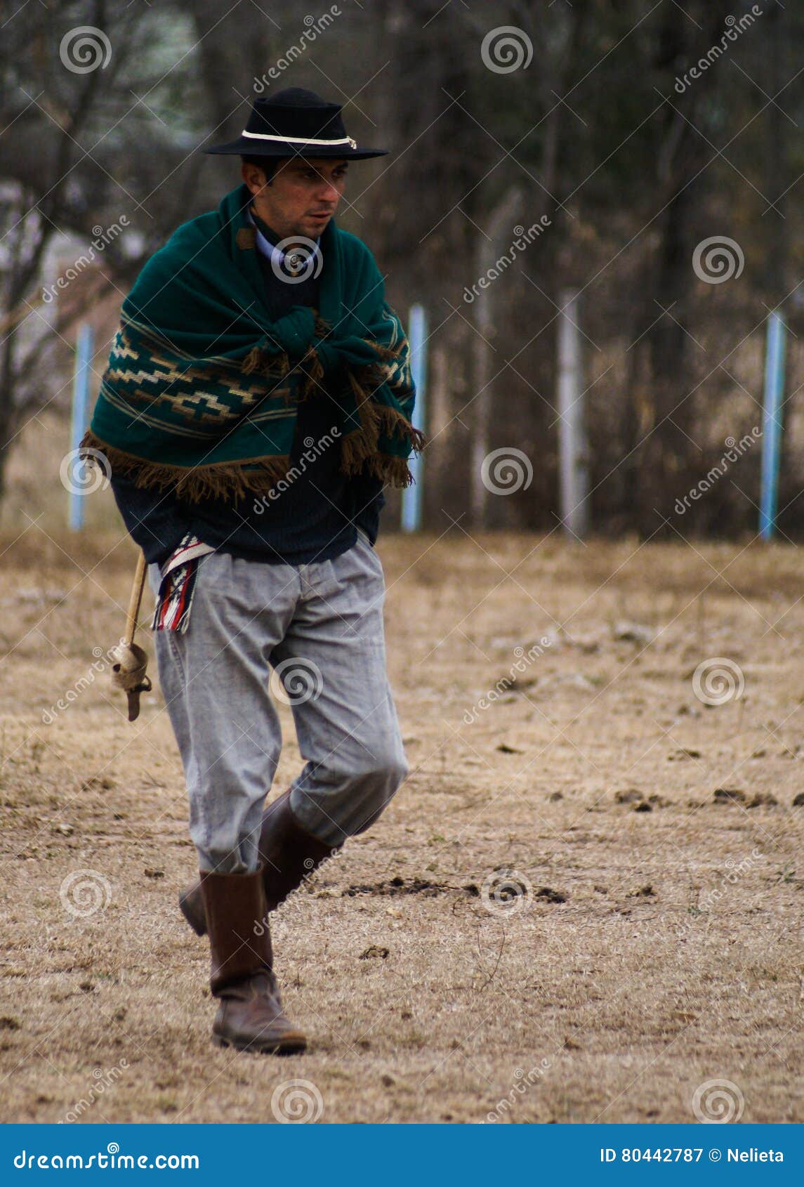 Argentine Gaucho Horse In Corral, Tied Royalty-Free Stock Photography ...