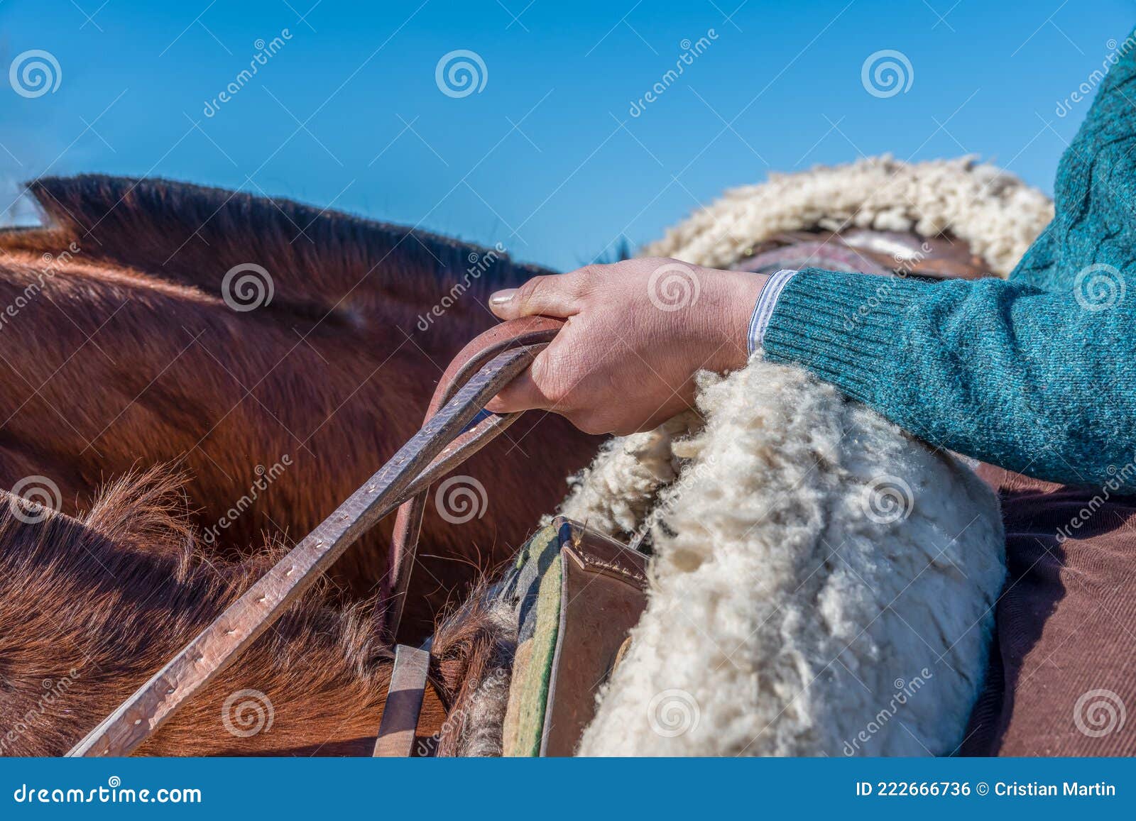 argentine gaucho on horseback, holding reins