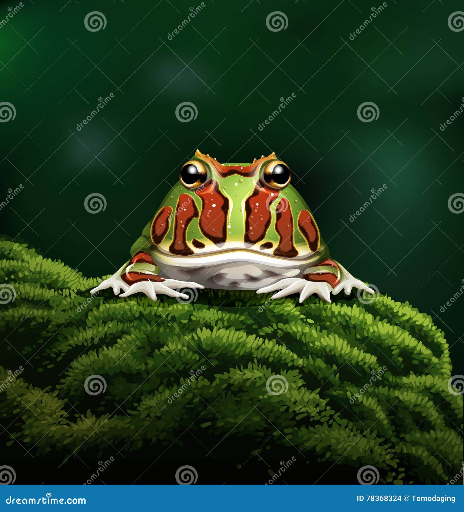 Horned Frog Cartoon 78368471