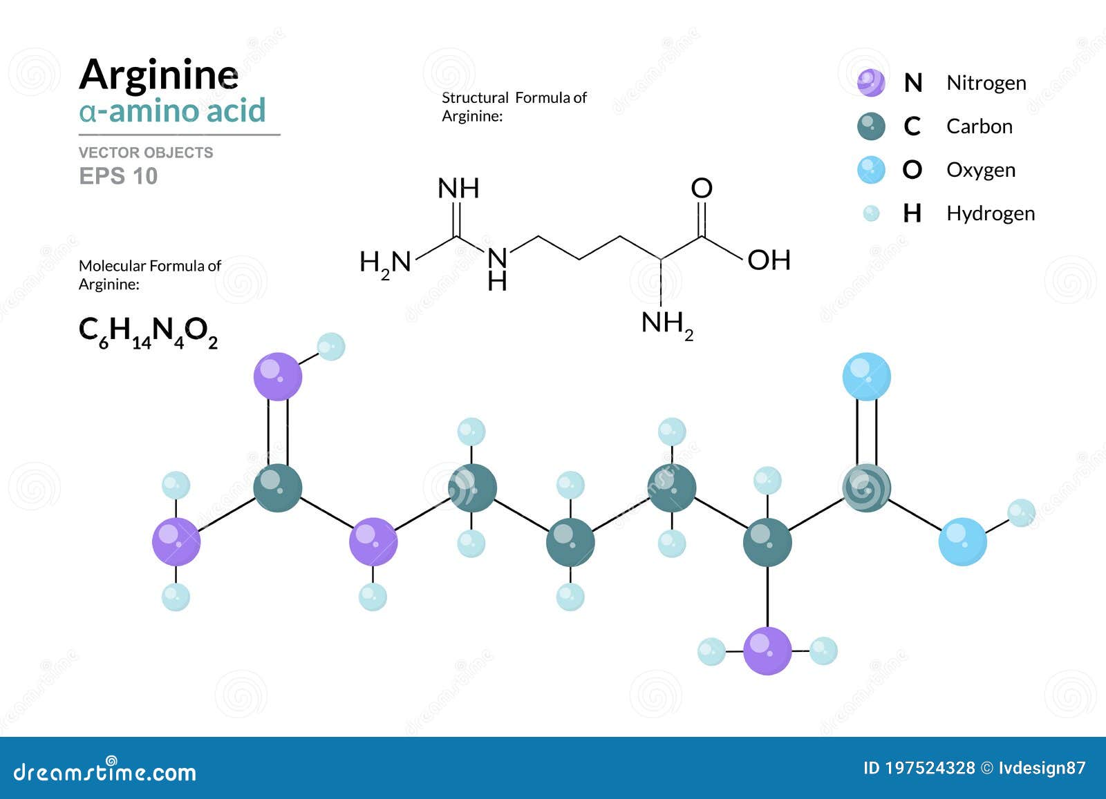 Arginine. Arg C6H14N4O2. Î±Amino Acid. Structural Chemical Formula and