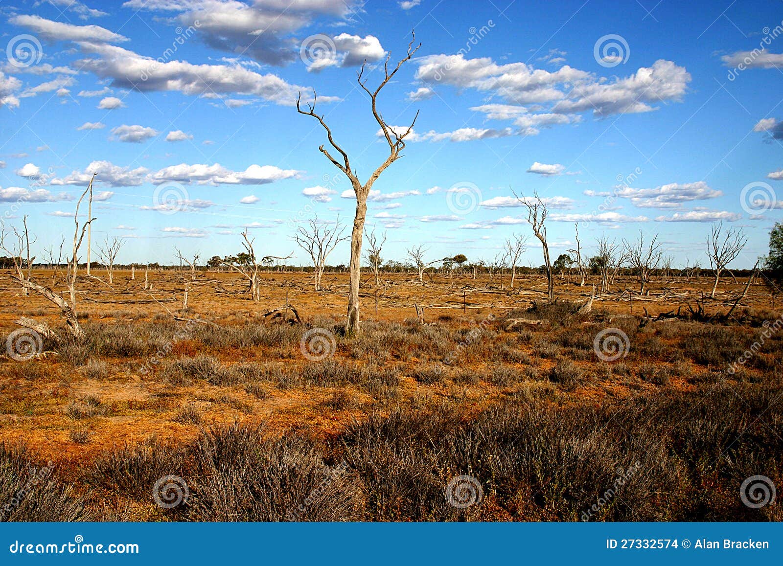 arid australian outback