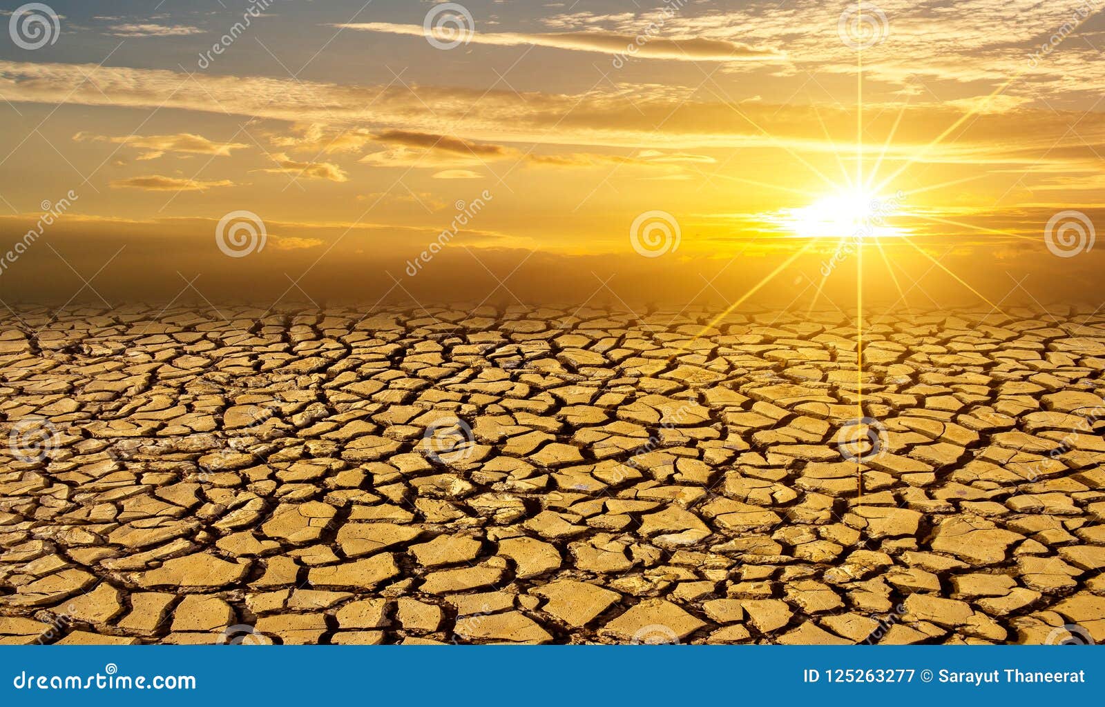 arid clay soil sun desert global worming concept cracked scorched earth soil drought desert landscape dramatic sunset