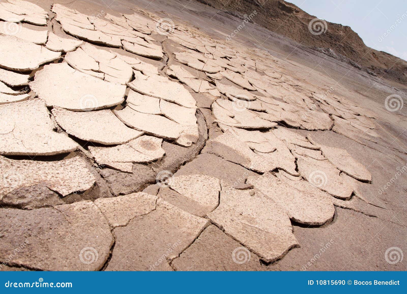 arid cracked earth