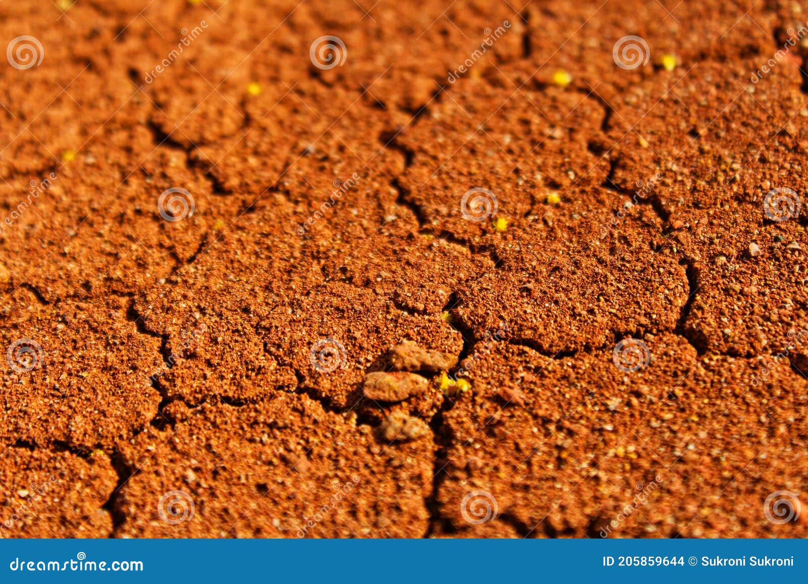 Arid land stock photo. Image of geology, brown, leaf 205859644