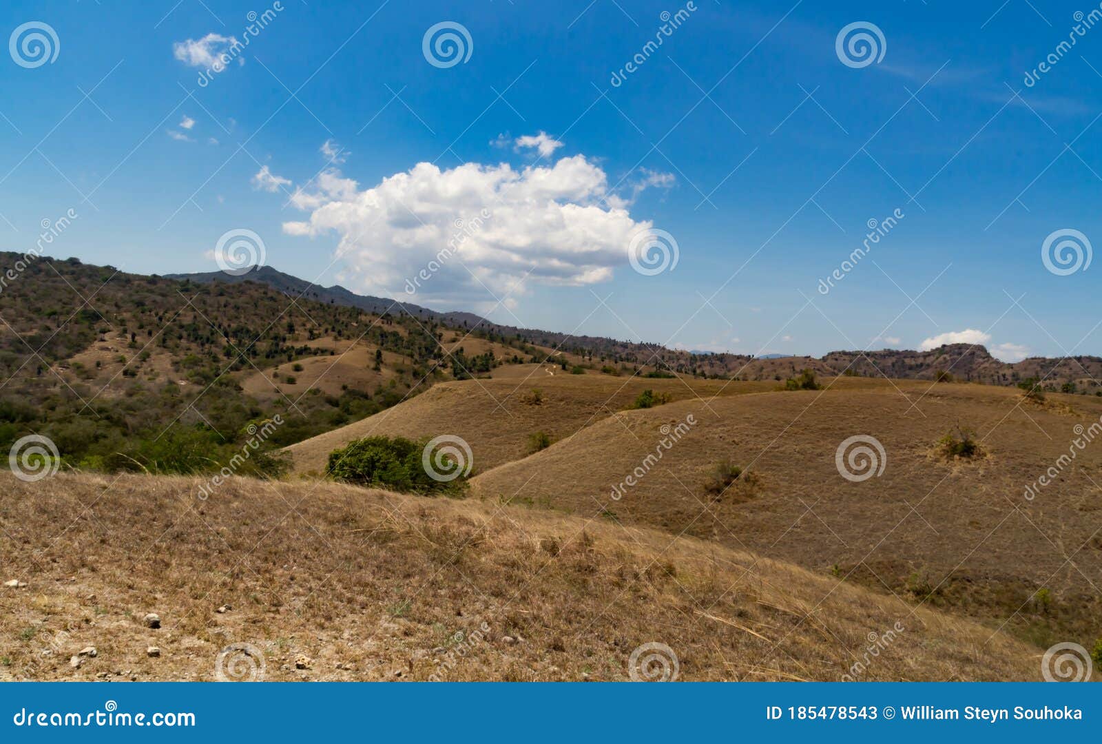 arid meadow in rinca island