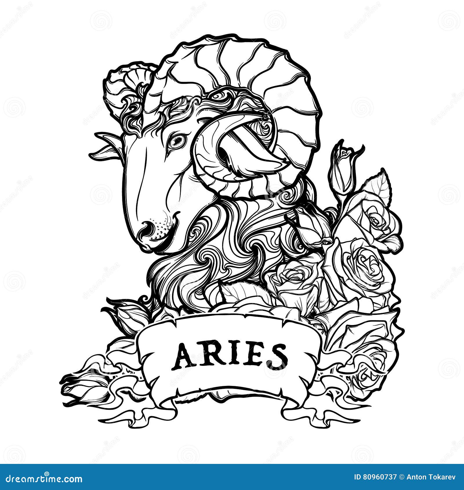 Aries Isolated on White Background. Stock Vector - Illustration of ...