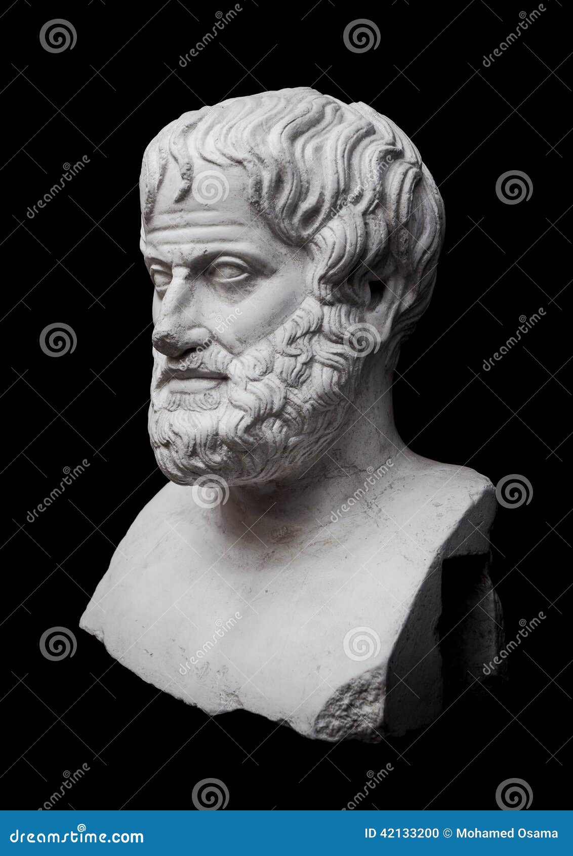100+ Aristotle Statue Stock Photos, Pictures & Royalty-Free Images - iStock