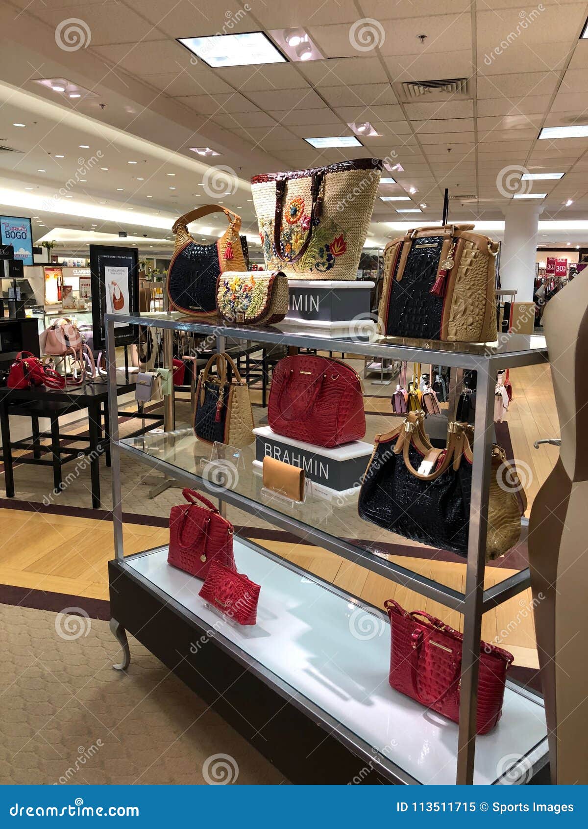 Brahmin Handbags in a Department Store Editorial Stock Image - Image of  arizona, mall: 113511714