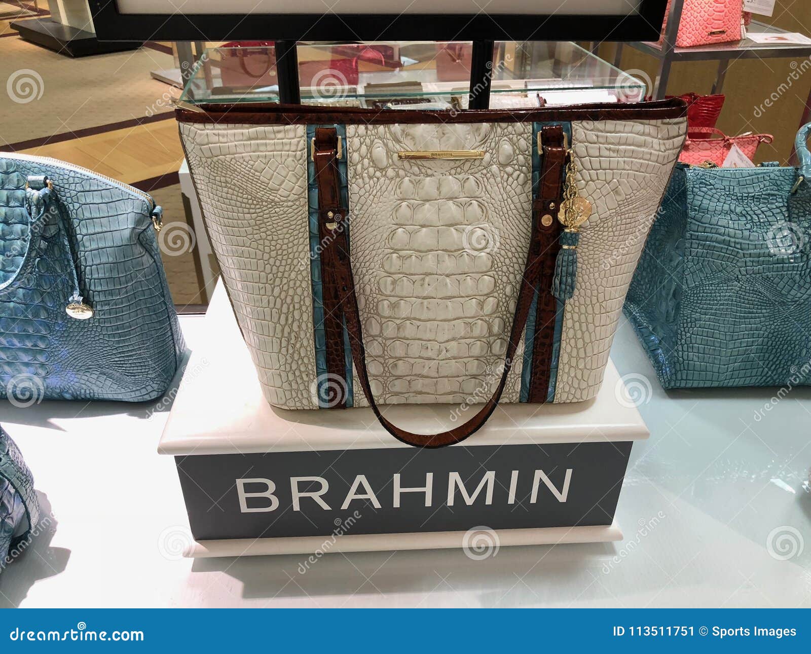 Brahmin Handbags in a Department Store Editorial Photo - Image of store,  design: 113511751