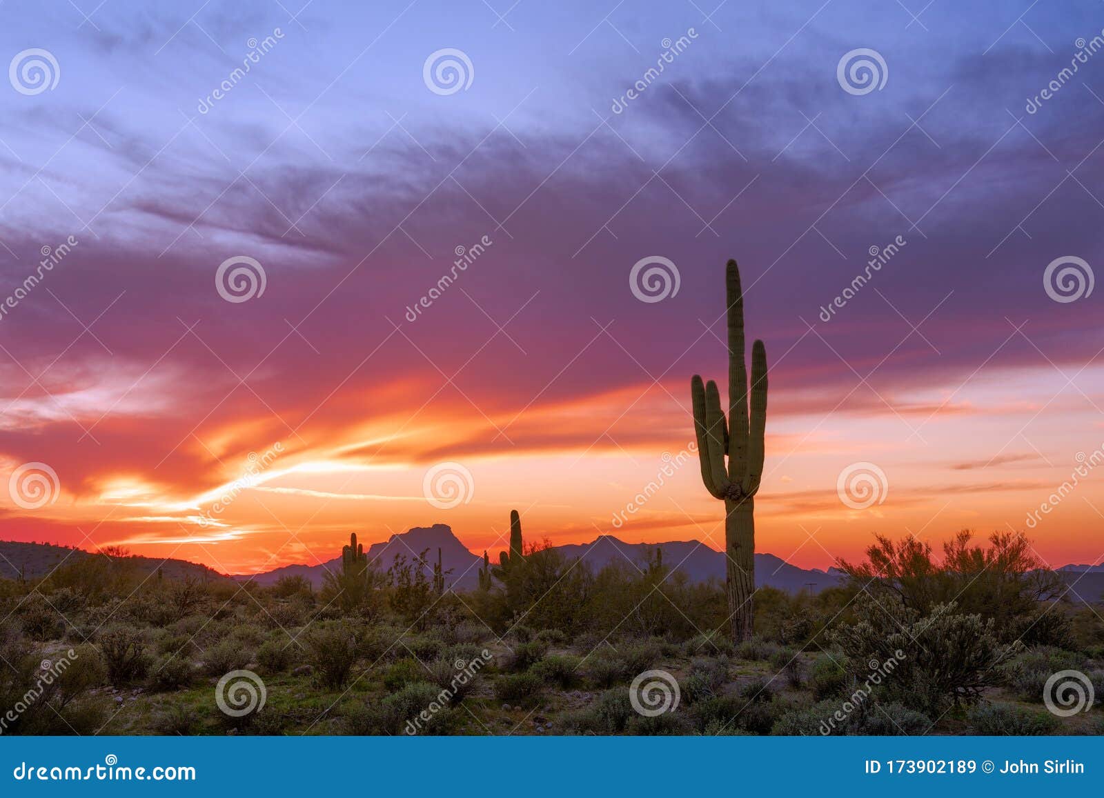 Arizona Desert Landscape at Sunset with Saguaro Cactus Stock Image ...