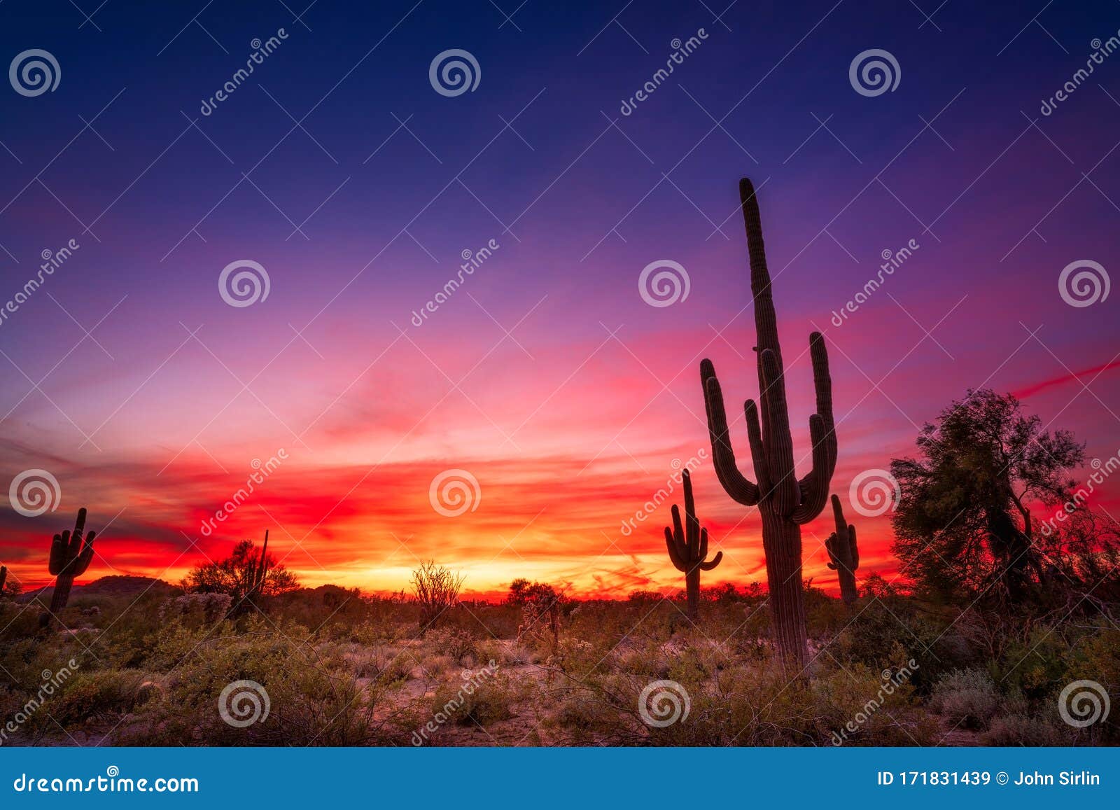 Arizona Desert Landscape at Sunset Stock Image - Image of clouds ...