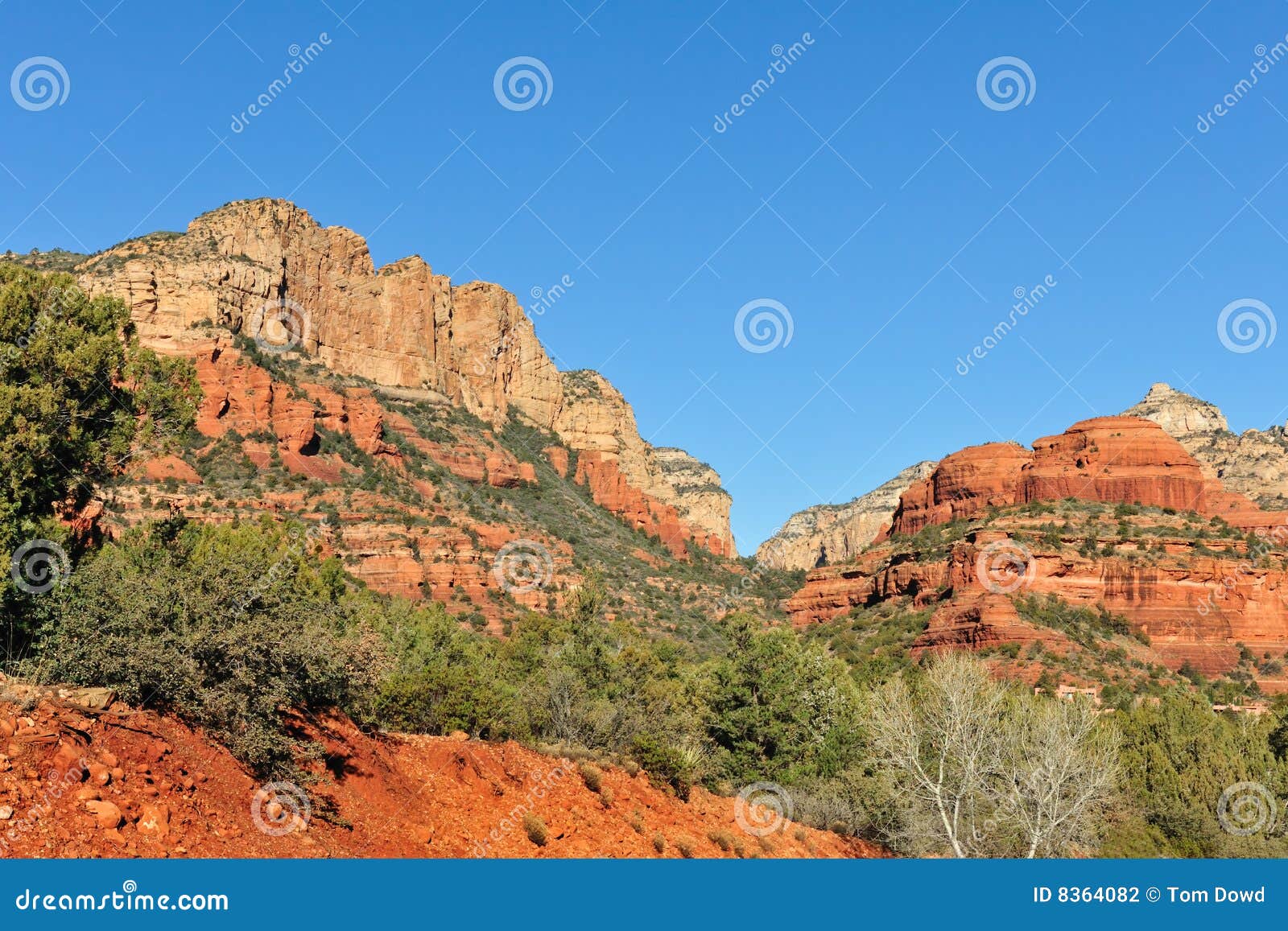 Arizona Desert Mountains stock photo. Image of natural 8364082