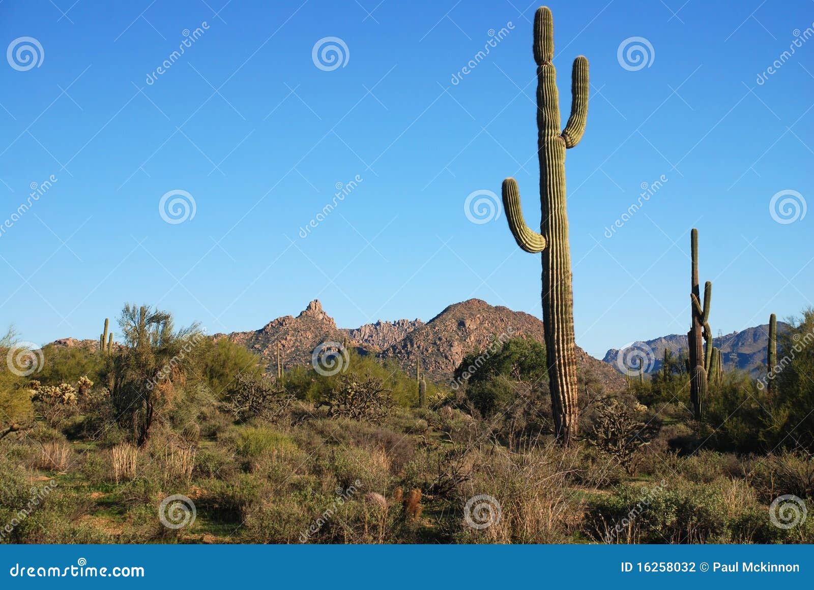 arizona desert terrain.