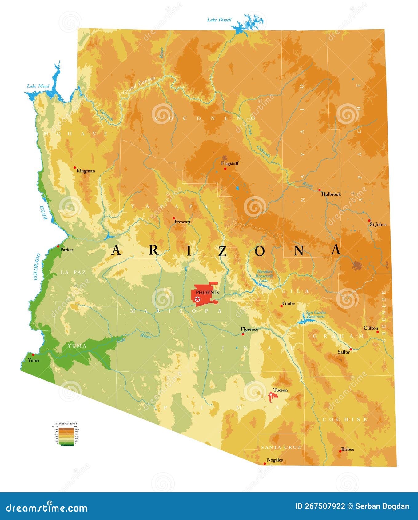 Arizona Highly Detailed Physical Map Vector Illustration