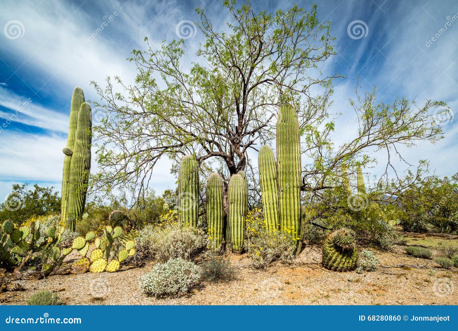 colorful arizona scenery colorful arizona scenery