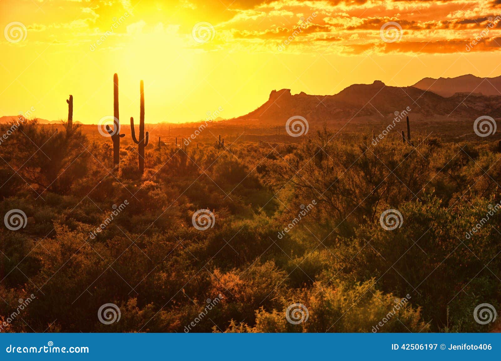 Arizona sunset stock image. Image of cloud, dark, cacti - 42506197