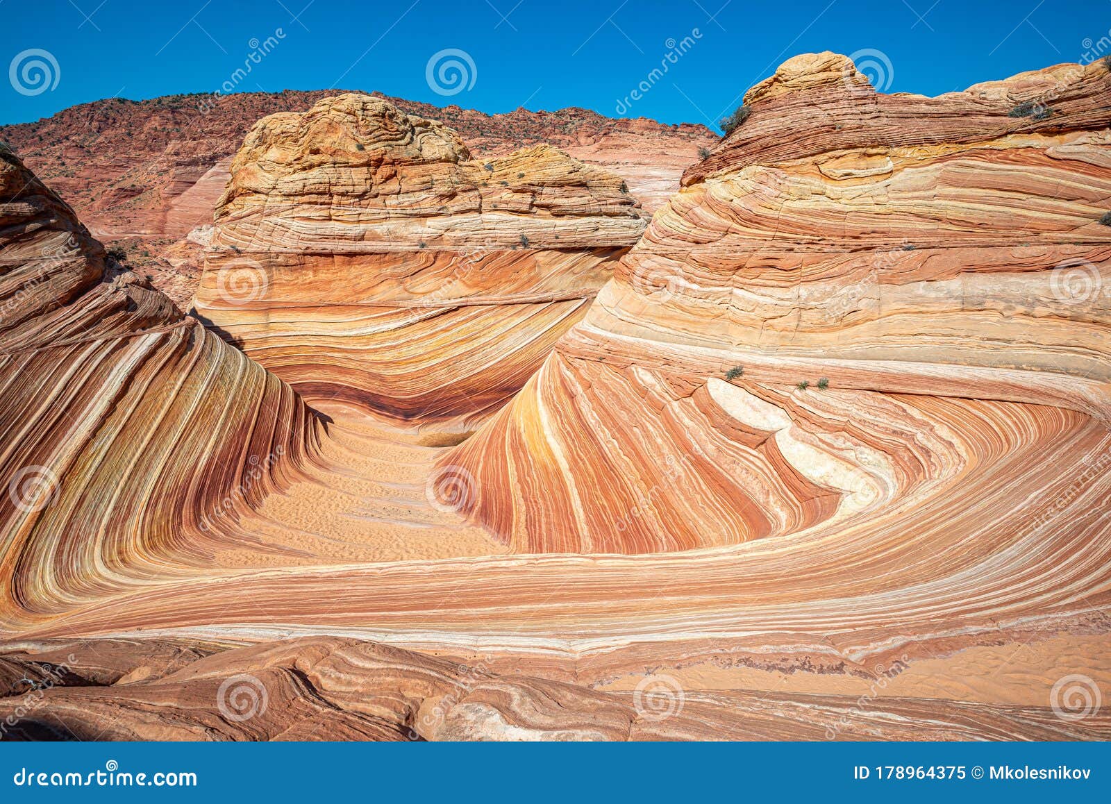 arizona wave - famous geology rock formation in pariah canyon, usa