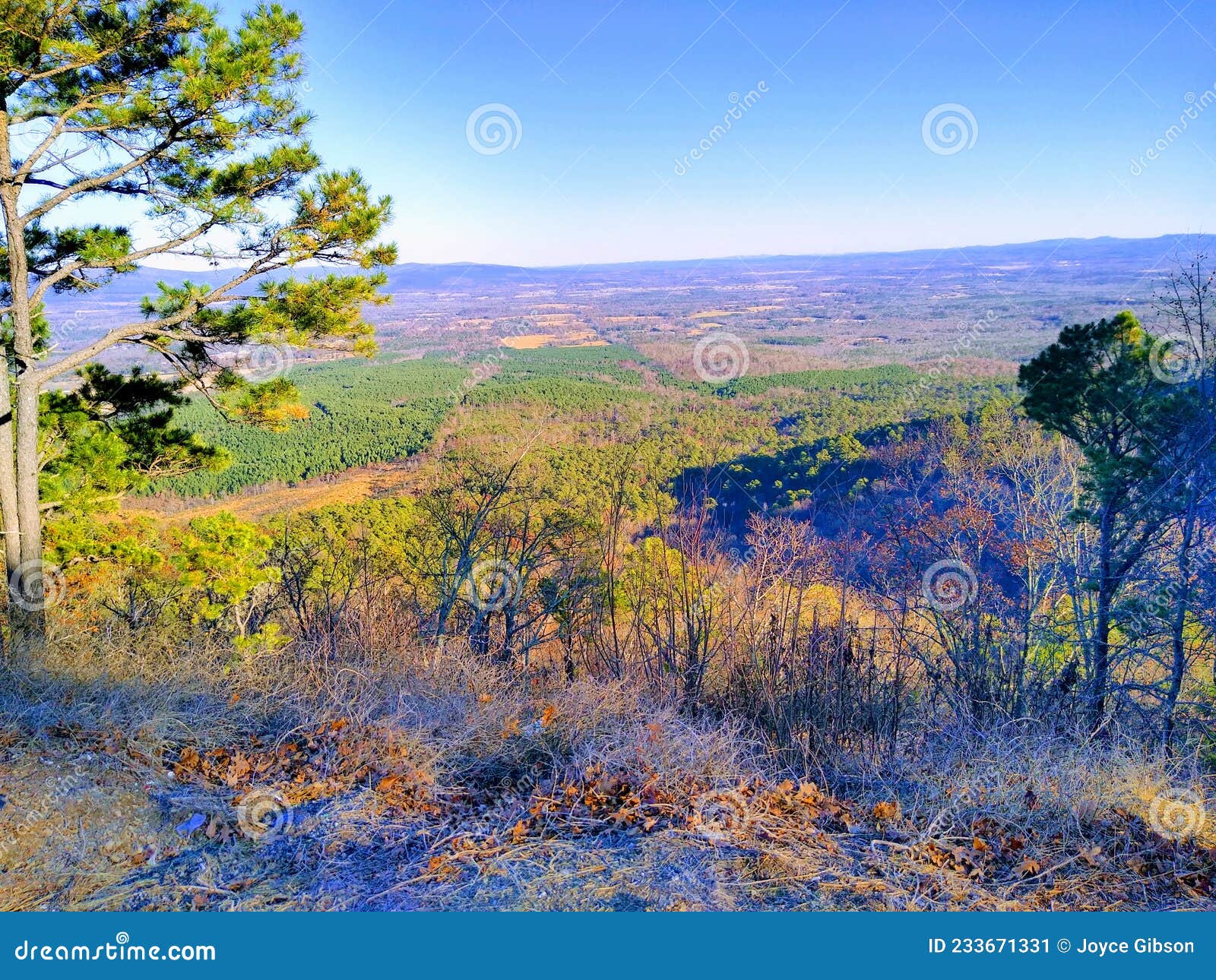 The Arkansas grasslands stock image. Image of wilderness 233671331