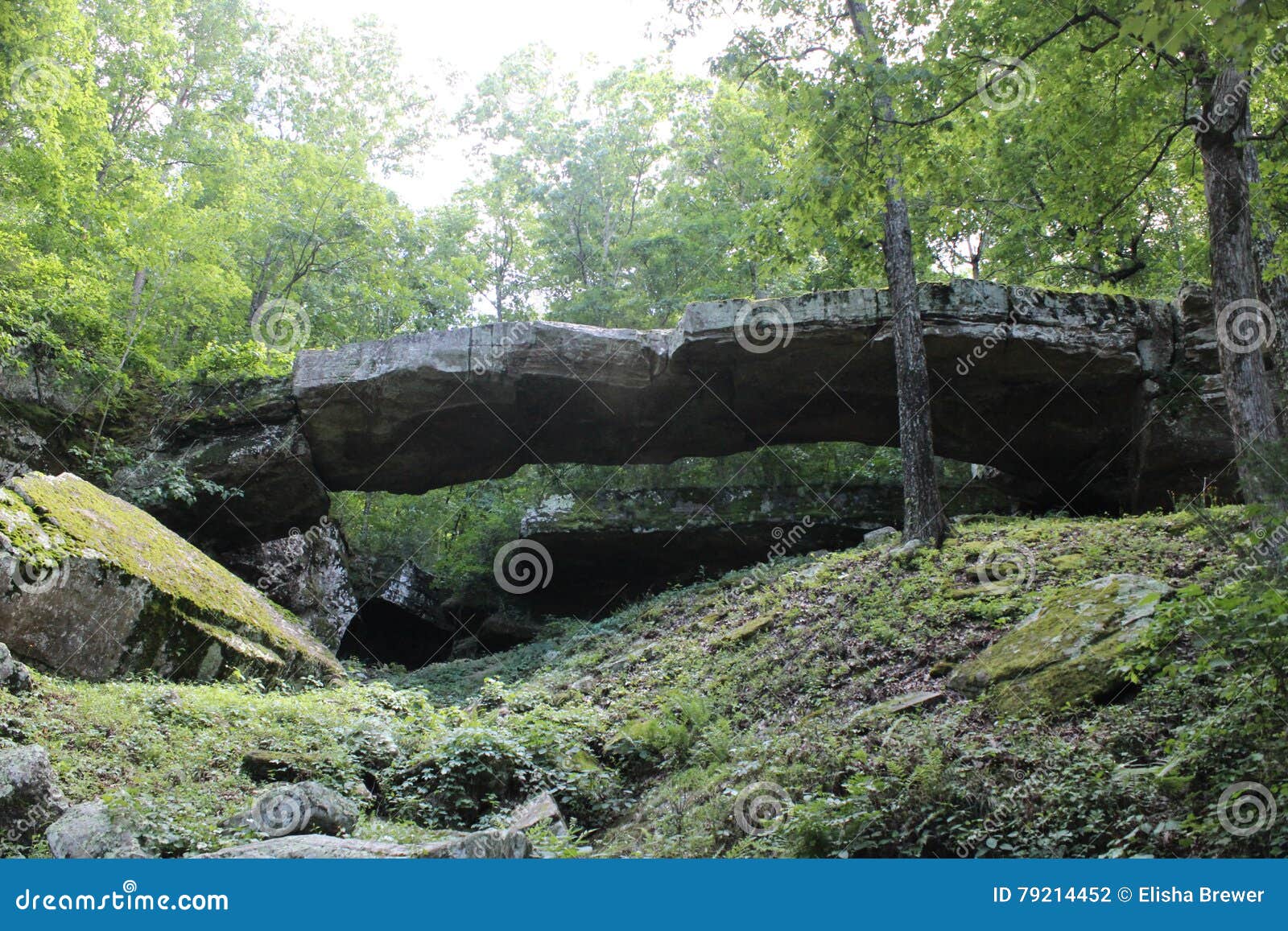Arkansas Natural Bridge 2 stock photo. Image of naturebuilt 79214452