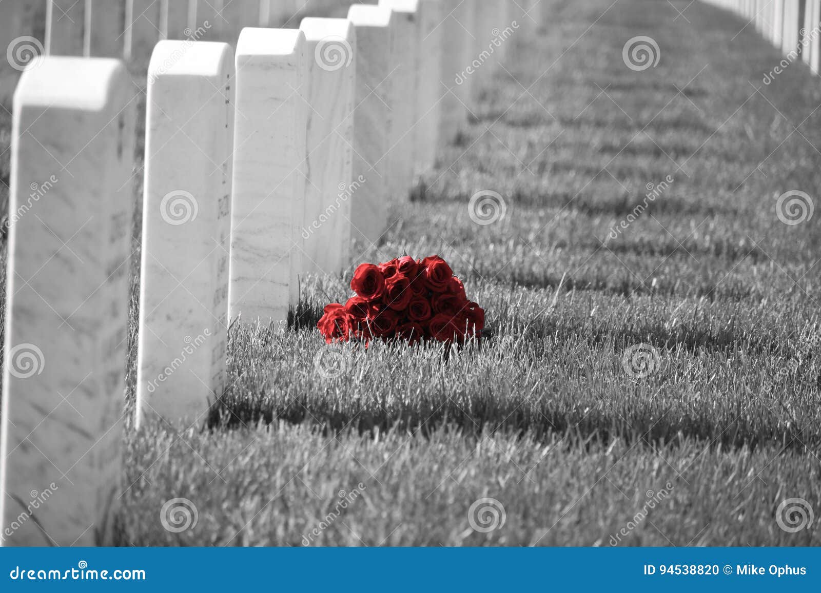 Arlington-nationaler Friedhof. Blumen durch ein Grab an Arlington-nationalem Friedhof