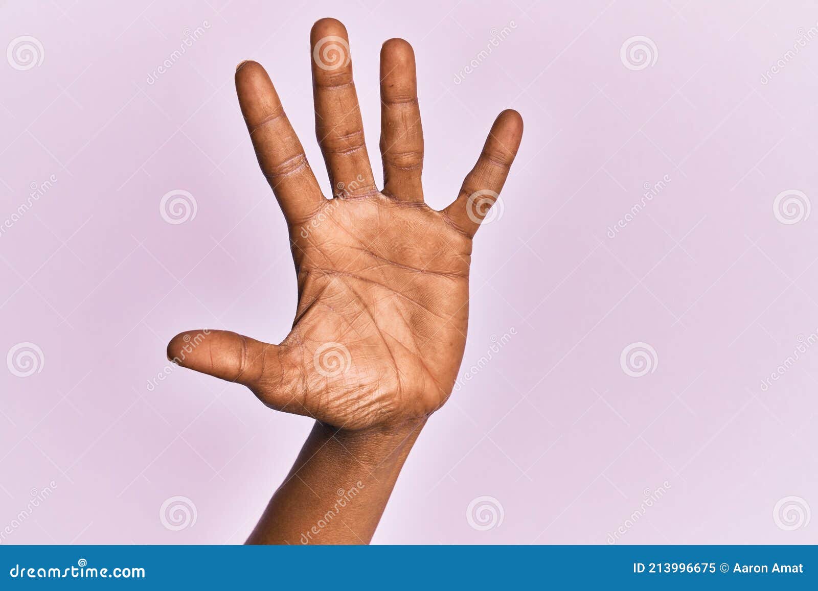 Woman Left Hand Showing Five Fingers Stock Photos - Free & Royalty-Free  Stock Photos from Dreamstime