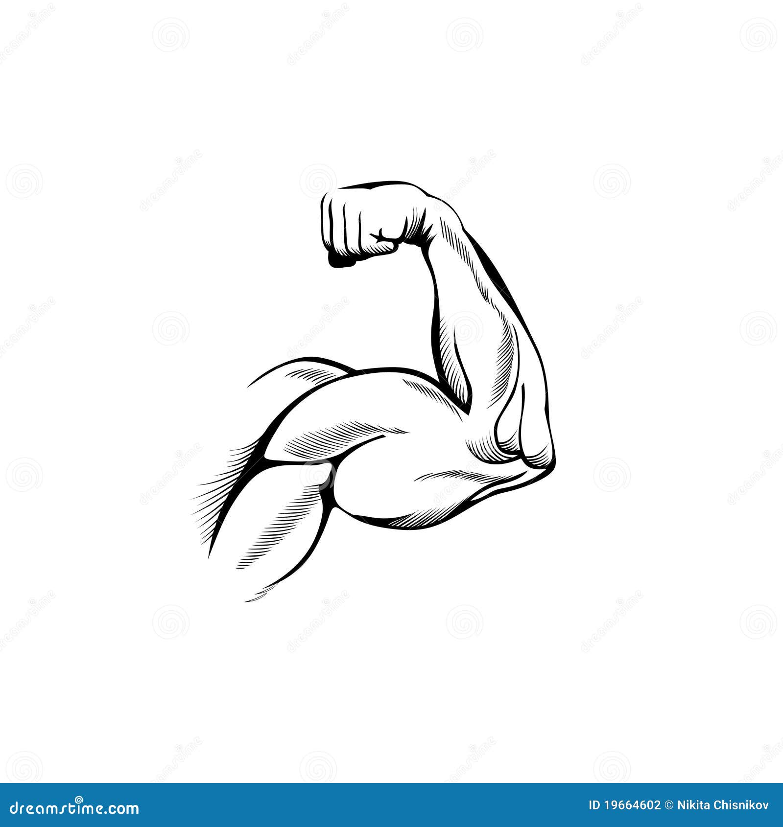 Learning to draw muscles any advice  rlearnart