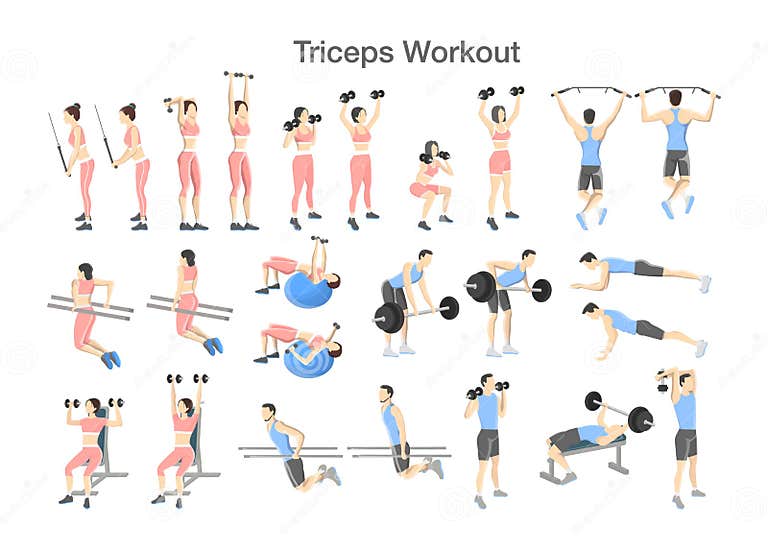 Arm Triceps Workout Set with Dumbbell and Barbell Stock Vector ...