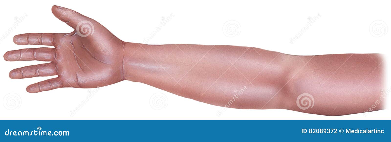 Arm Und Hand Ausgestreckt Stockfoto Bild Von Unterarm 82089372