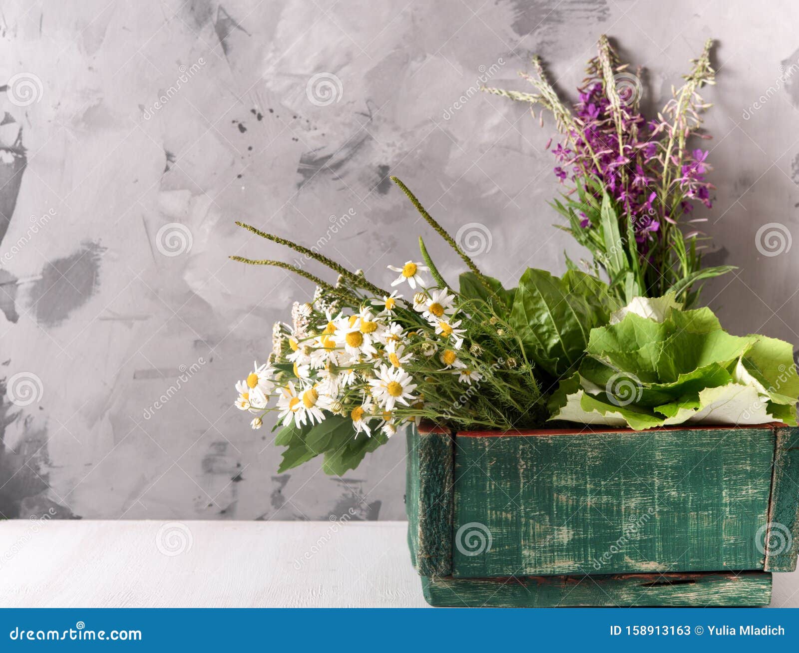 Armada de plantas medicinales frescas en una caja sobre la mesa