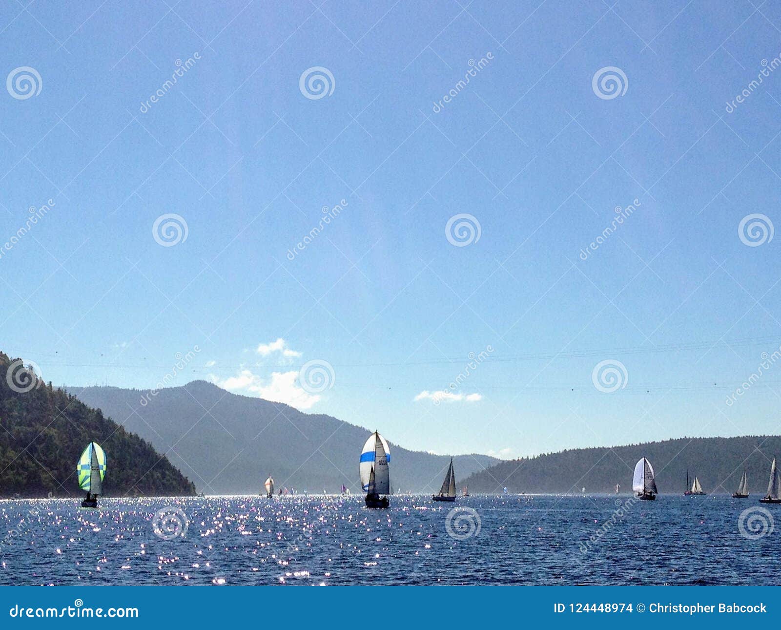 armada of sailboats off the coast of vancouver island, british c