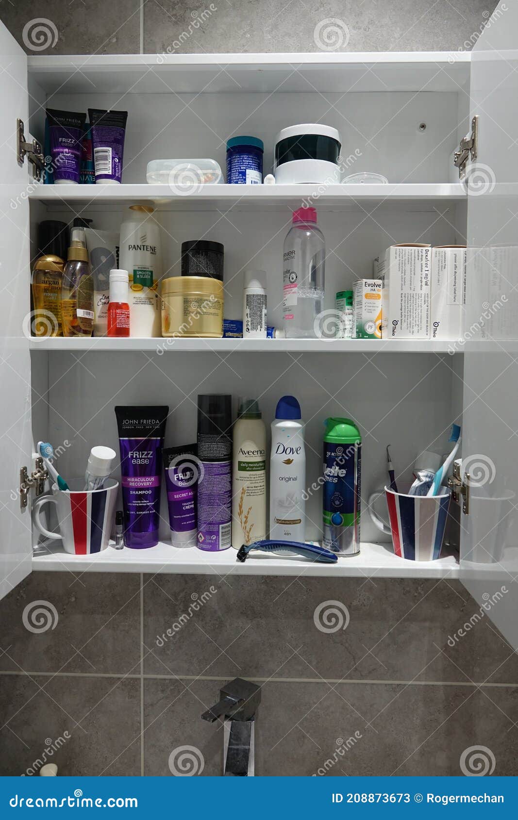 Armario De Baño Doméstico Con Productos De Belleza a La Vista Foto de  archivo editorial - Imagen de muebles, cosméticos: 208873673