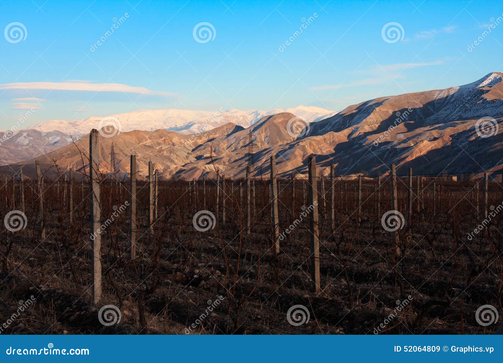 Armenian Vineyards stock image. Image of yerevan, mountain 52064809