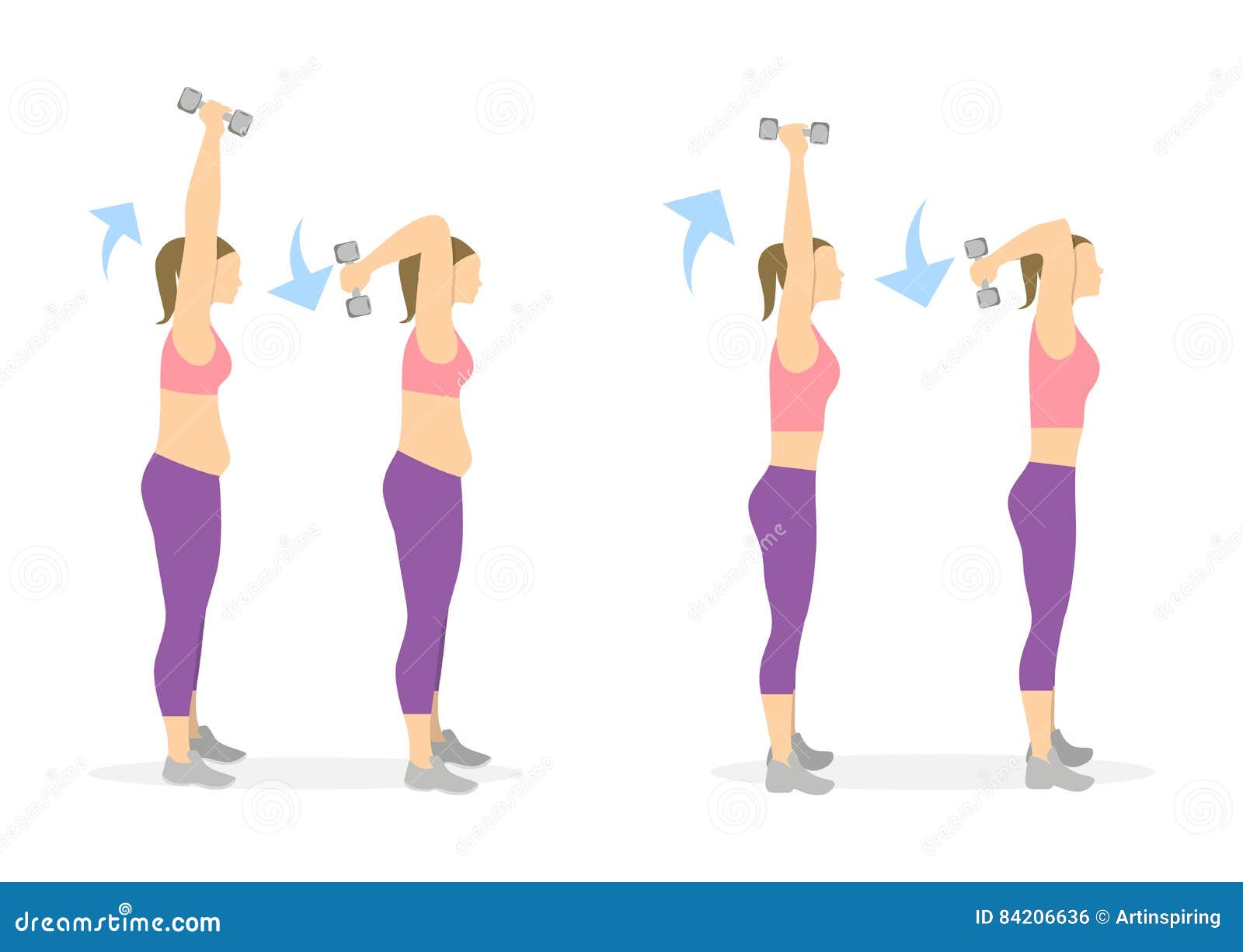 Arms exercise for women. stock vector. Illustration of active - 84206636