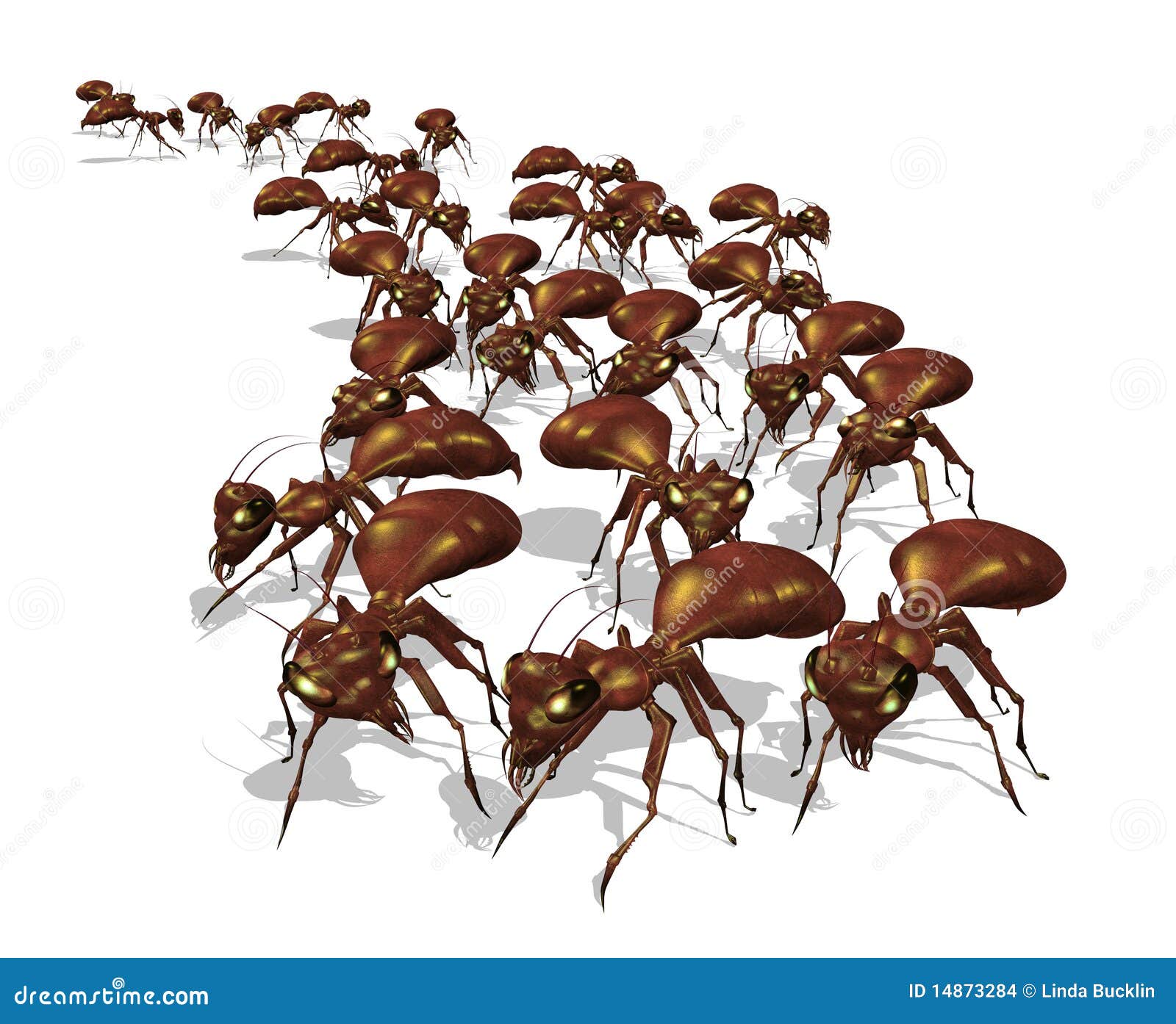 Army Ant Stock Illustrations 221 Army Ant Stock Illustrations